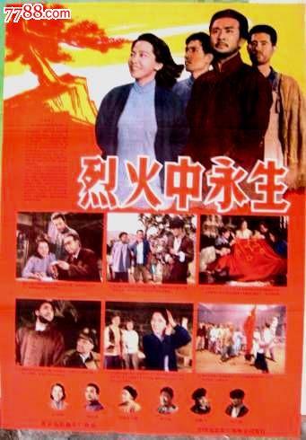 宅基地使用证做假的